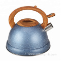 3L Tea Kettle Stainless Steel With Plastic Handle